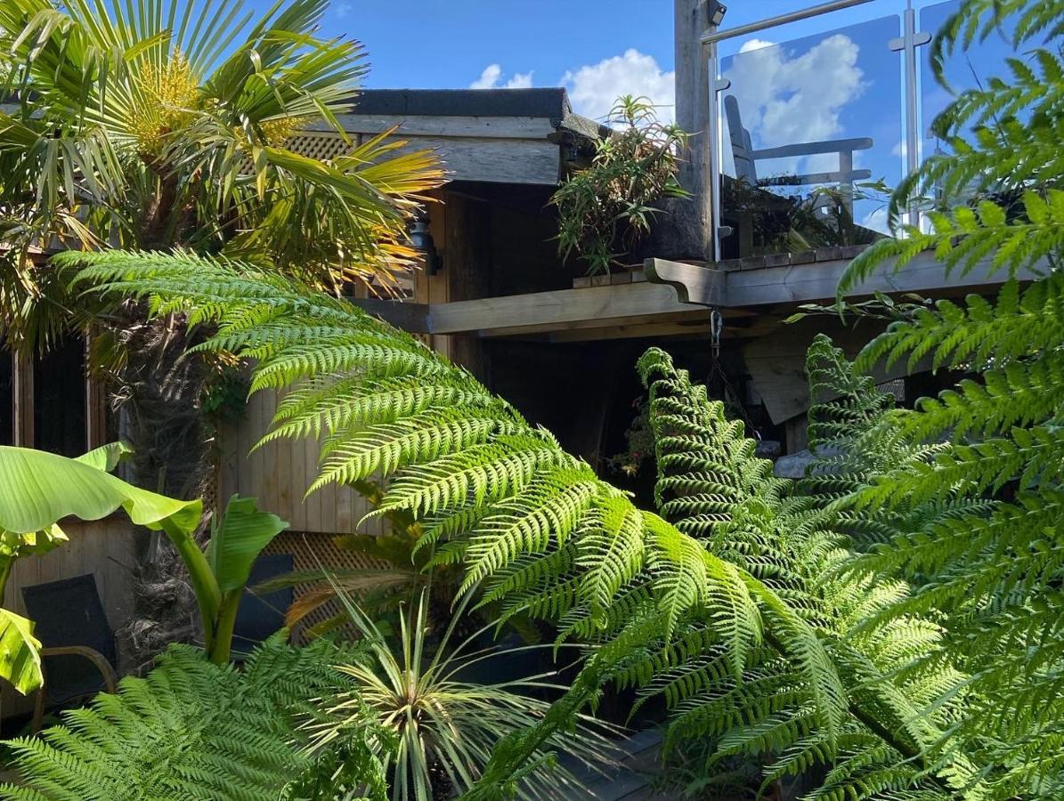 Jungle Cabin Martin Mill Екстериор снимка