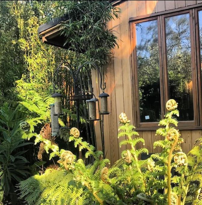 Jungle Cabin Martin Mill Екстериор снимка