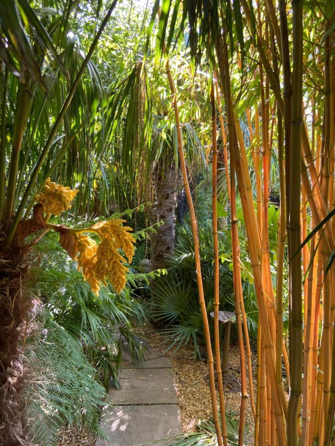 Jungle Cabin Martin Mill Екстериор снимка