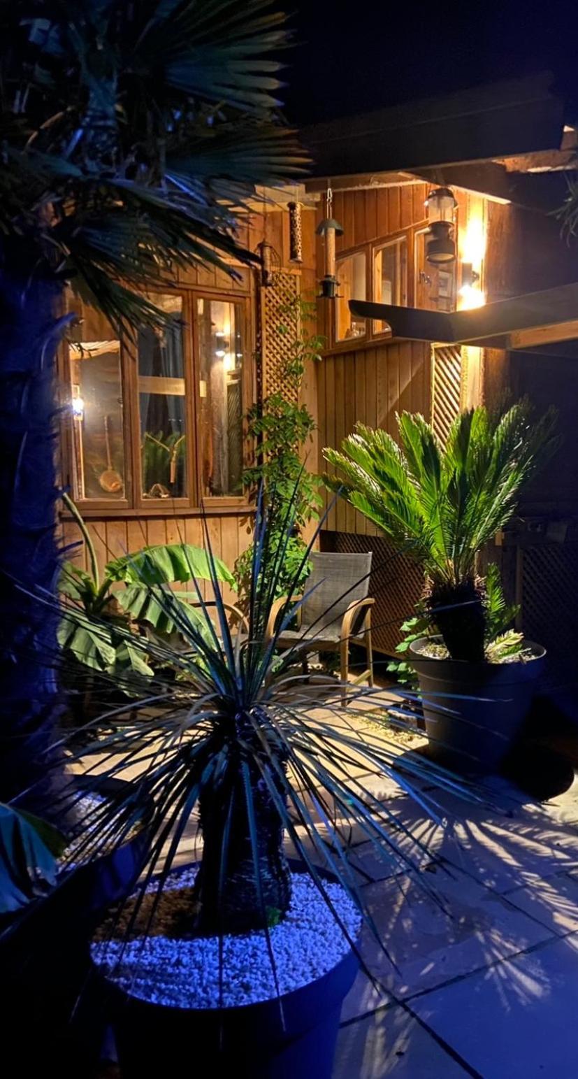 Jungle Cabin Martin Mill Екстериор снимка