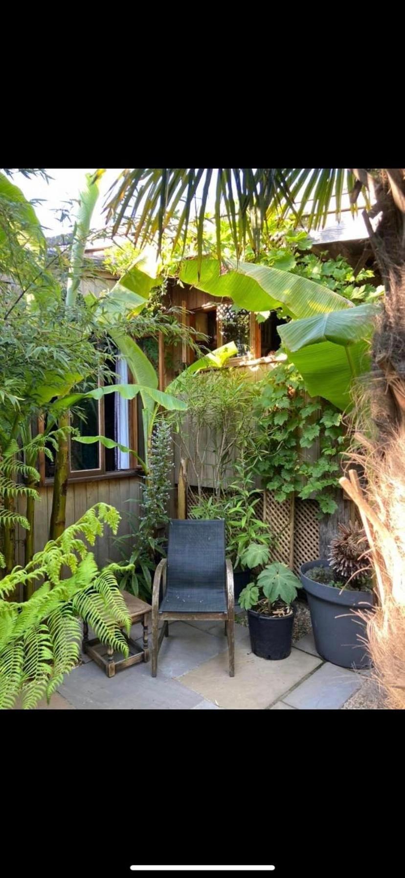 Jungle Cabin Martin Mill Екстериор снимка