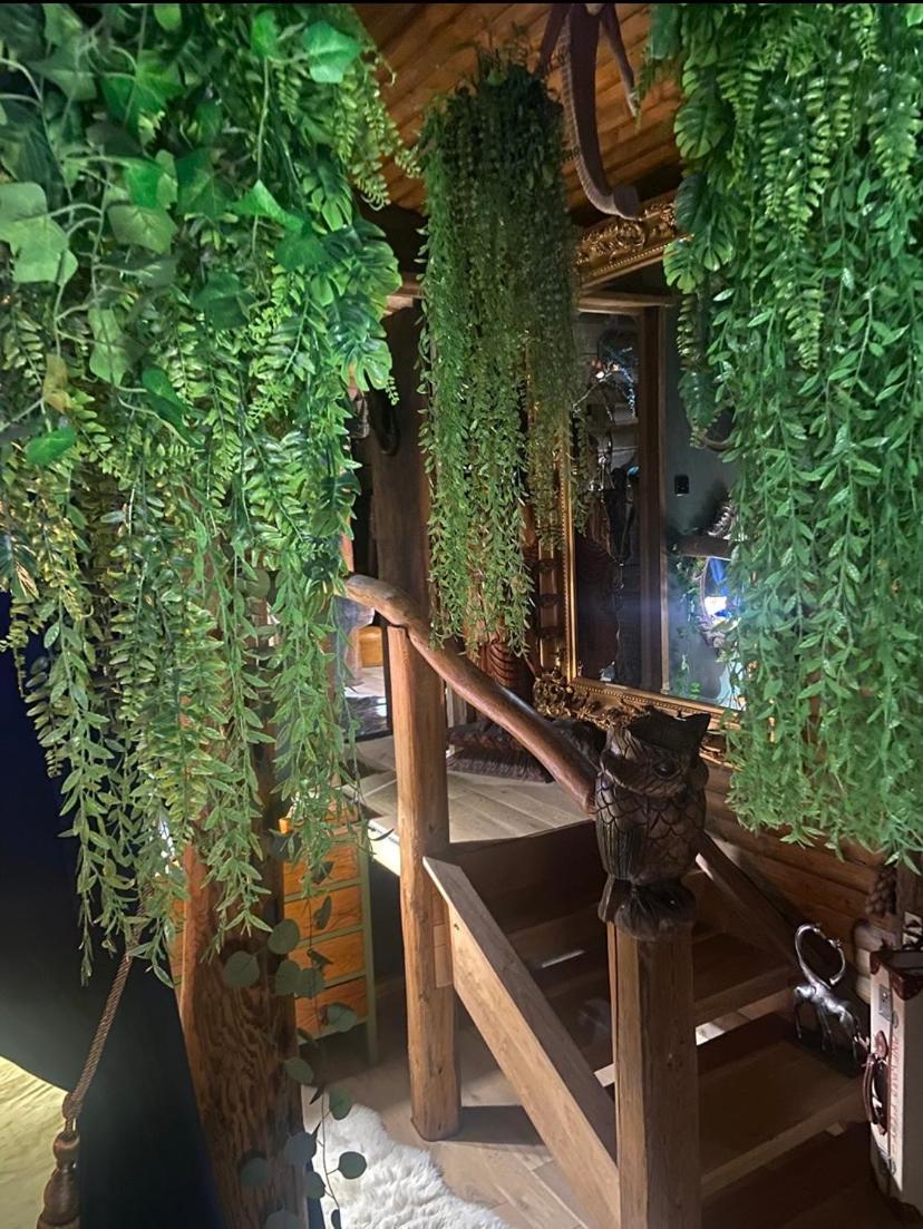 Jungle Cabin Martin Mill Екстериор снимка